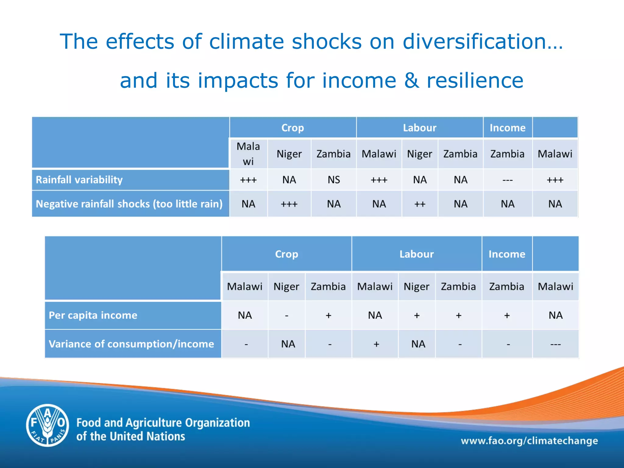 The effects of climate shocks on diversification…
and its impacts for income & resilience
 