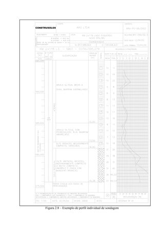 Figura 2.8 – Exemplo de perfil individual de sondagem
 