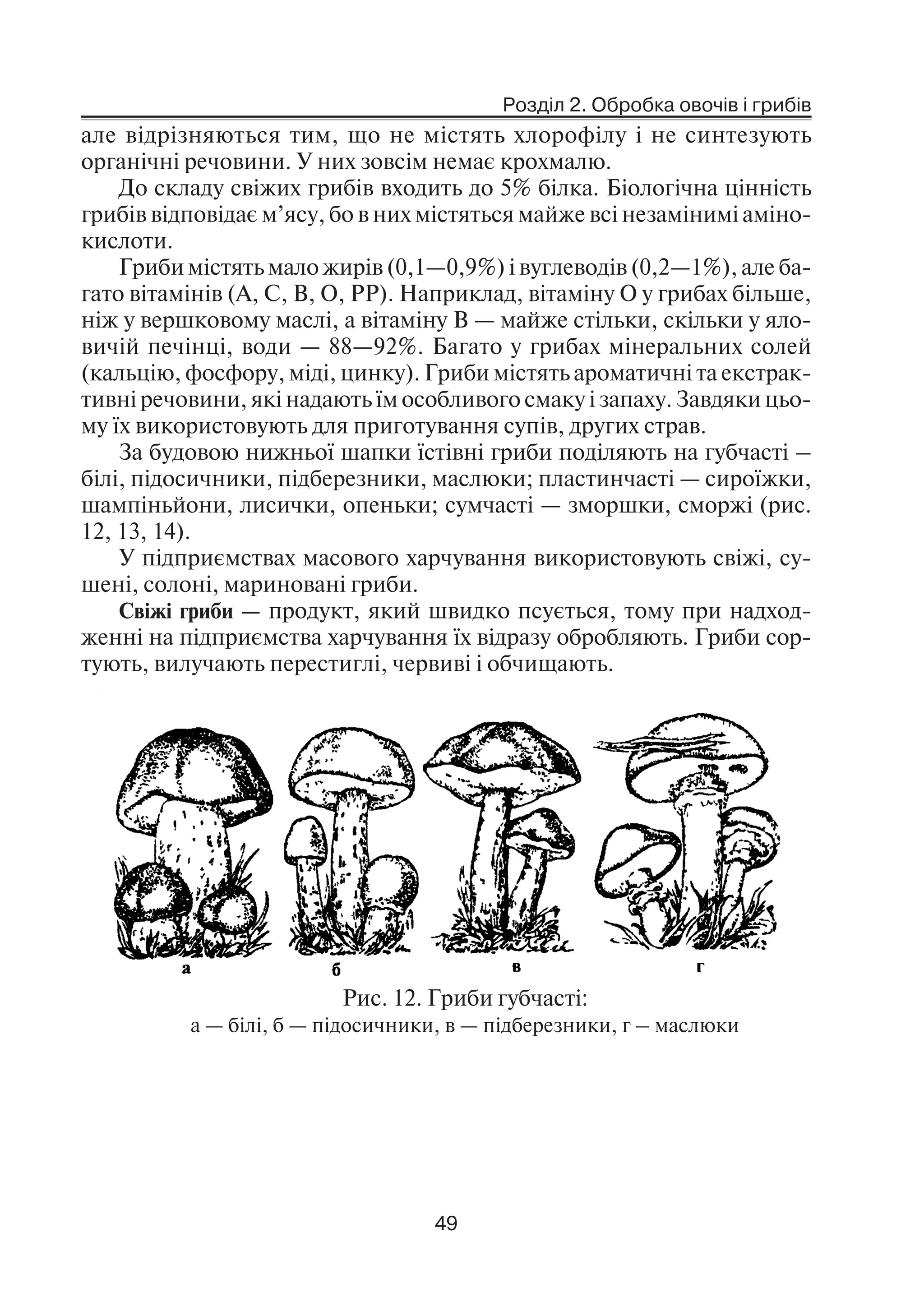 Розділ 2. Обробка овочів і грибів
49
але відрізняються тим, що не містять хлорофілу і не синтезують
органічні речовини. У них зовсім немає крохмалю.
До складу свіжих грибів входить до 5% білка. Біологічна цінність
грибів відповідає м’ясу, бо в них містяться майже всі незамінимі аміно
кислоти.
Гриби містять мало жирів (0,1—0,9%) і вуглеводів (0,2—1%), але ба
гато вітамінів (А, С, В, О, РР). Наприклад, вітаміну О у грибах більше,
ніж у вершковому маслі, а вітаміну В — майже стільки, скільки у яло
вичій печінці, води — 88—92%. Багато у грибах мінеральних солей
(кальцію, фосфору, міді, цинку). Гриби містять ароматичні та екстрак
тивні речовини, які надають їм особливого смаку і запаху. Завдяки цьо
му їх використовують для приготування супів, других страв.
За будовою нижньої шапки їстівні гриби поділяють на губчасті –
білі, підосичники, підберезники, маслюки; пластинчасті — сироїжки,
шампіньйони, лисички, опеньки; сумчасті — зморшки, сморжі (рис.
12, 13, 14).
У підприємствах масового харчування використовують свіжі, су
шені, солоні, мариновані гриби.
Свіжі гриби — продукт, який швидко псується, тому при надход
женні на підприємства харчування їх відразу обробляють. Гриби сор
тують, вилучають перестиглі, червиві і обчищають.
Рис. 12. Гриби губчасті:
а — білі, б — підосичники, в — підберезники, г – маслюки
 