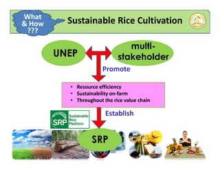 Policy for Food Security & Sustainable Agriculture/Rice Development in ...