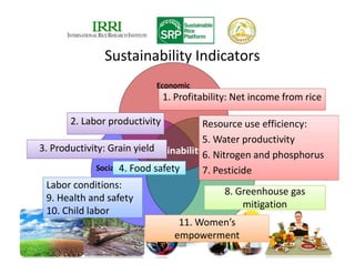 Policy for Food Security & Sustainable Agriculture/Rice Development in ...