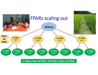 FPARs scaling out
District
1st FPAR
2 FT
2nd FPAR
2 FT
3rd FPAR
2 FT
4th FPAR
2 FT
1st FPAR
2 FT
2nd FPAR
2 FT
3rd FPAR
2 FT
4th FPAR
2 FT
5th FPAR
2 FT
6th FPAR
2 FT
7th FPAR
2 FT
8th FPAR
2 FT
2015
28
FPAR
In 2016 a New 18 FPAR + 28 FPAR in 2015= 46 FPAR.
 