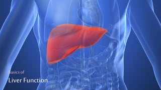 Physiology of Gastric Acid Secretion
Liver Function
Basicsof
 