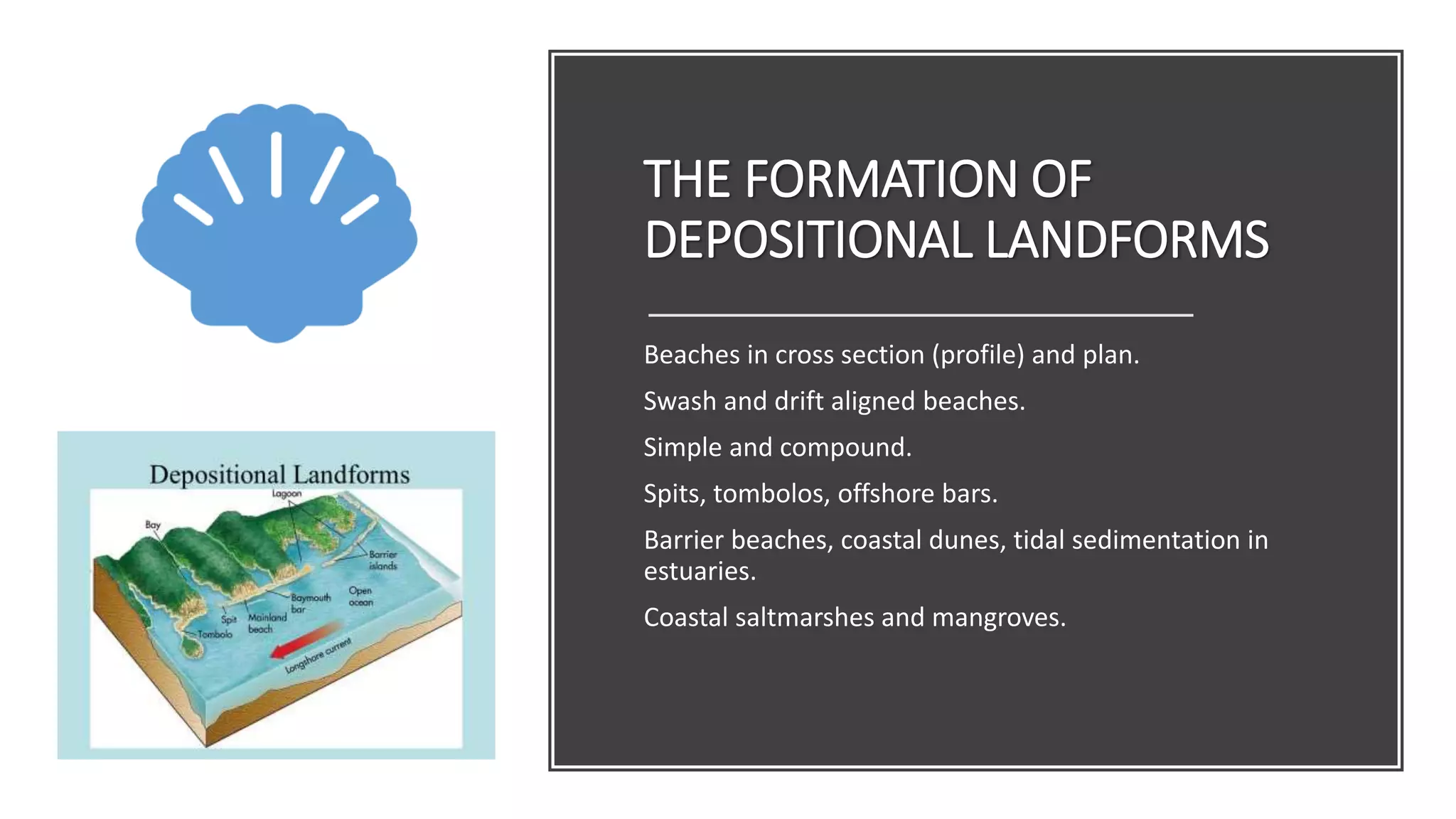 THE FORMATION OF
DEPOSITIONAL LANDFORMS
Beaches in cross section (profile) and plan.
Swash and drift aligned beaches.
Simple and compound.
Spits, tombolos, offshore bars.
Barrier beaches, coastal dunes, tidal sedimentation in
estuaries.
Coastal saltmarshes and mangroves.
 