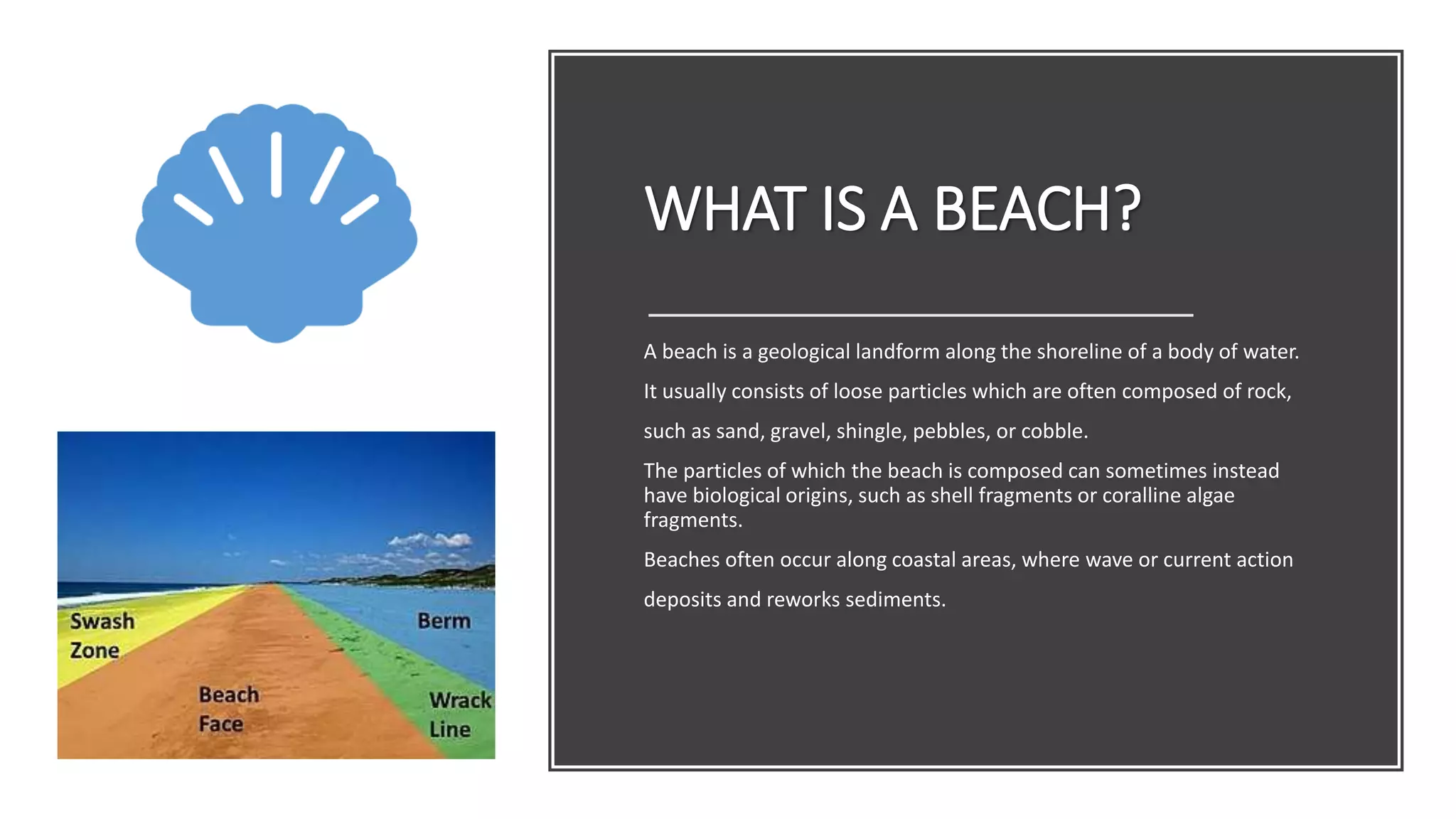 WHAT IS A BEACH?
A beach is a geological landform along the shoreline of a body of water.
It usually consists of loose particles which are often composed of rock,
such as sand, gravel, shingle, pebbles, or cobble.
The particles of which the beach is composed can sometimes instead
have biological origins, such as shell fragments or coralline algae
fragments.
Beaches often occur along coastal areas, where wave or current action
deposits and reworks sediments.
 