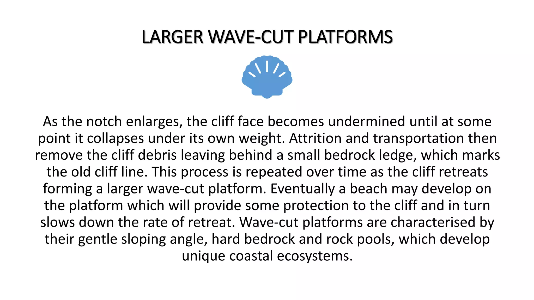 LARGER WAVE-CUT PLATFORMS
As the notch enlarges, the cliff face becomes undermined until at some
point it collapses under its own weight. Attrition and transportation then
remove the cliff debris leaving behind a small bedrock ledge, which marks
the old cliff line. This process is repeated over time as the cliff retreats
forming a larger wave-cut platform. Eventually a beach may develop on
the platform which will provide some protection to the cliff and in turn
slows down the rate of retreat. Wave-cut platforms are characterised by
their gentle sloping angle, hard bedrock and rock pools, which develop
unique coastal ecosystems.
 