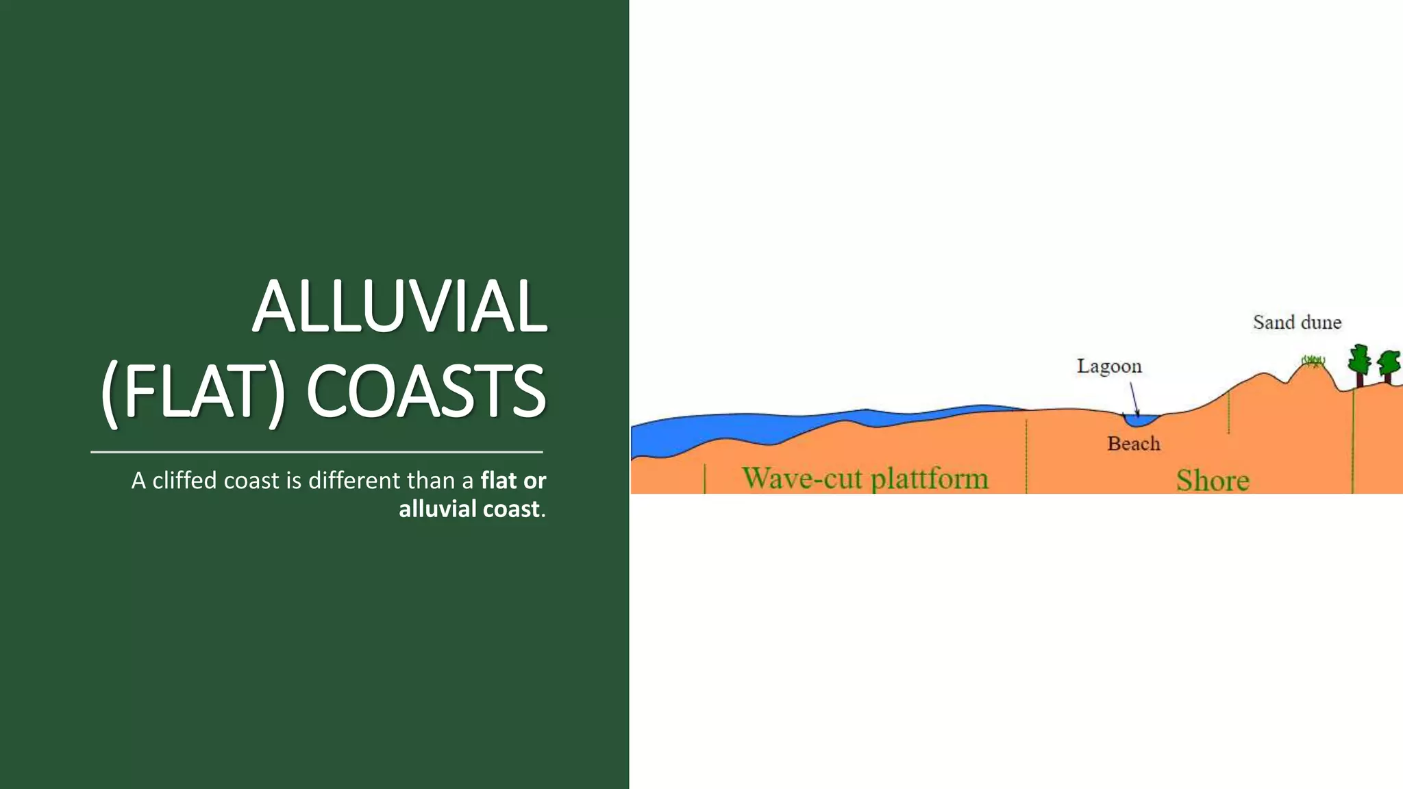 ALLUVIAL
(FLAT) COASTS
A cliffed coast is different than a flat or
alluvial coast.
 