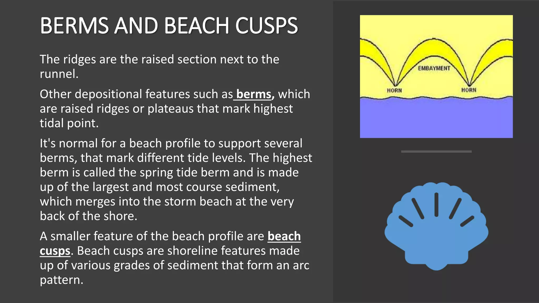 BERMS AND BEACH CUSPS
The ridges are the raised section next to the
runnel.
Other depositional features such as berms, which
are raised ridges or plateaus that mark highest
tidal point.
It's normal for a beach profile to support several
berms, that mark different tide levels. The highest
berm is called the spring tide berm and is made
up of the largest and most course sediment,
which merges into the storm beach at the very
back of the shore.
A smaller feature of the beach profile are beach
cusps. Beach cusps are shoreline features made
up of various grades of sediment that form an arc
pattern.
 