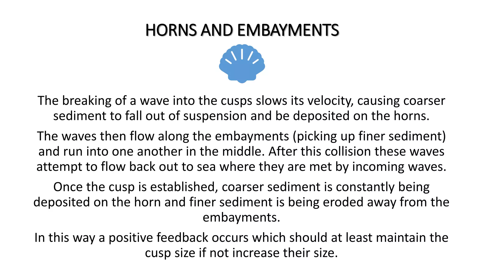 HORNS AND EMBAYMENTS
The breaking of a wave into the cusps slows its velocity, causing coarser
sediment to fall out of suspension and be deposited on the horns.
The waves then flow along the embayments (picking up finer sediment)
and run into one another in the middle. After this collision these waves
attempt to flow back out to sea where they are met by incoming waves.
Once the cusp is established, coarser sediment is constantly being
deposited on the horn and finer sediment is being eroded away from the
embayments.
In this way a positive feedback occurs which should at least maintain the
cusp size if not increase their size.
 
