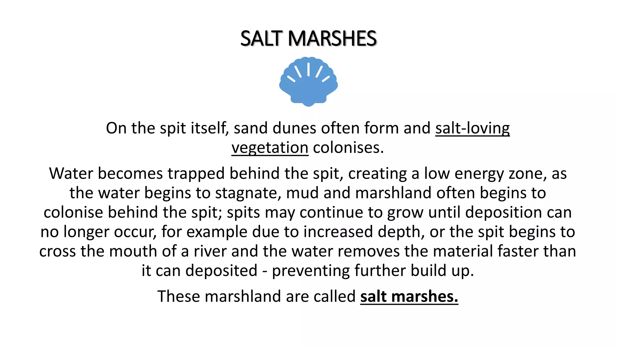 SALT MARSHES
On the spit itself, sand dunes often form and salt-loving
vegetation colonises.
Water becomes trapped behind the spit, creating a low energy zone, as
the water begins to stagnate, mud and marshland often begins to
colonise behind the spit; spits may continue to grow until deposition can
no longer occur, for example due to increased depth, or the spit begins to
cross the mouth of a river and the water removes the material faster than
it can deposited - preventing further build up.
These marshland are called salt marshes.
 