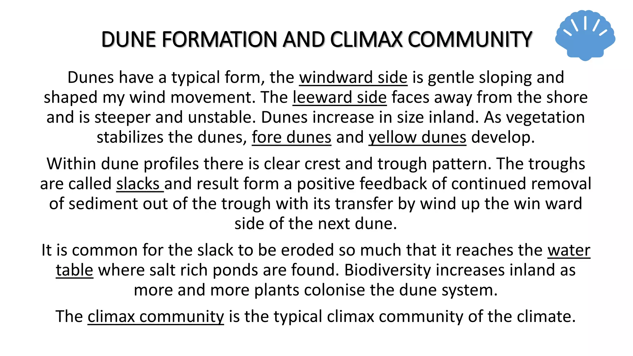 DUNE FORMATION AND CLIMAX COMMUNITY
Dunes have a typical form, the windward side is gentle sloping and
shaped my wind movement. The leeward side faces away from the shore
and is steeper and unstable. Dunes increase in size inland. As vegetation
stabilizes the dunes, fore dunes and yellow dunes develop.
Within dune profiles there is clear crest and trough pattern. The troughs
are called slacks and result form a positive feedback of continued removal
of sediment out of the trough with its transfer by wind up the win ward
side of the next dune.
It is common for the slack to be eroded so much that it reaches the water
table where salt rich ponds are found. Biodiversity increases inland as
more and more plants colonise the dune system.
The climax community is the typical climax community of the climate.
 