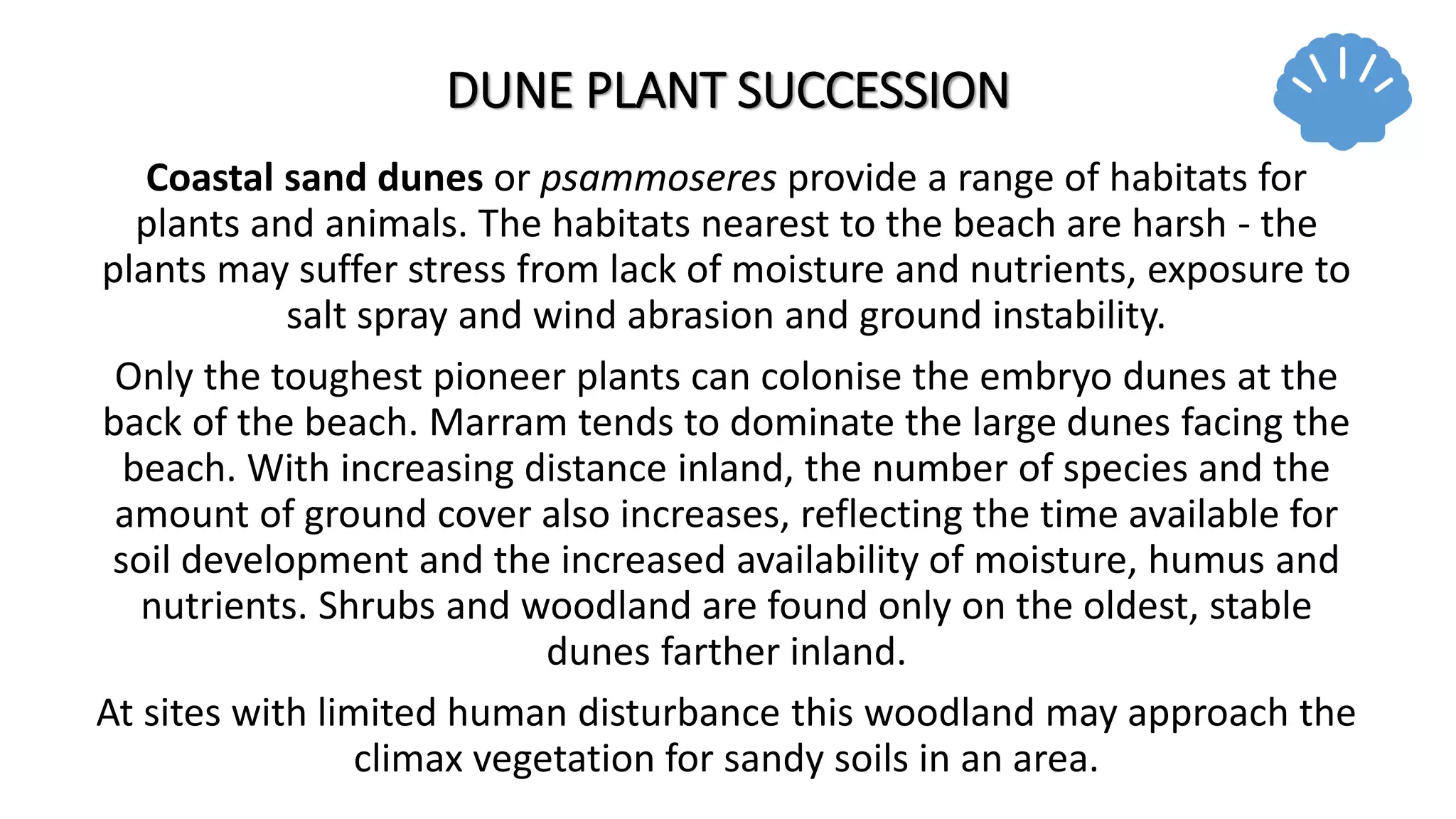 DUNE PLANT SUCCESSION
Coastal sand dunes or psammoseres provide a range of habitats for
plants and animals. The habitats nearest to the beach are harsh - the
plants may suffer stress from lack of moisture and nutrients, exposure to
salt spray and wind abrasion and ground instability.
Only the toughest pioneer plants can colonise the embryo dunes at the
back of the beach. Marram tends to dominate the large dunes facing the
beach. With increasing distance inland, the number of species and the
amount of ground cover also increases, reflecting the time available for
soil development and the increased availability of moisture, humus and
nutrients. Shrubs and woodland are found only on the oldest, stable
dunes farther inland.
At sites with limited human disturbance this woodland may approach the
climax vegetation for sandy soils in an area.
 