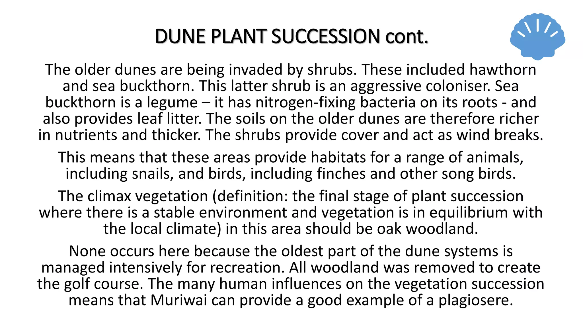 DUNE PLANT SUCCESSION cont.
The older dunes are being invaded by shrubs. These included hawthorn
and sea buckthorn. This latter shrub is an aggressive coloniser. Sea
buckthorn is a legume – it has nitrogen-fixing bacteria on its roots - and
also provides leaf litter. The soils on the older dunes are therefore richer
in nutrients and thicker. The shrubs provide cover and act as wind breaks.
This means that these areas provide habitats for a range of animals,
including snails, and birds, including finches and other song birds.
The climax vegetation (definition: the final stage of plant succession
where there is a stable environment and vegetation is in equilibrium with
the local climate) in this area should be oak woodland.
None occurs here because the oldest part of the dune systems is
managed intensively for recreation. All woodland was removed to create
the golf course. The many human influences on the vegetation succession
means that Muriwai can provide a good example of a plagiosere.
 