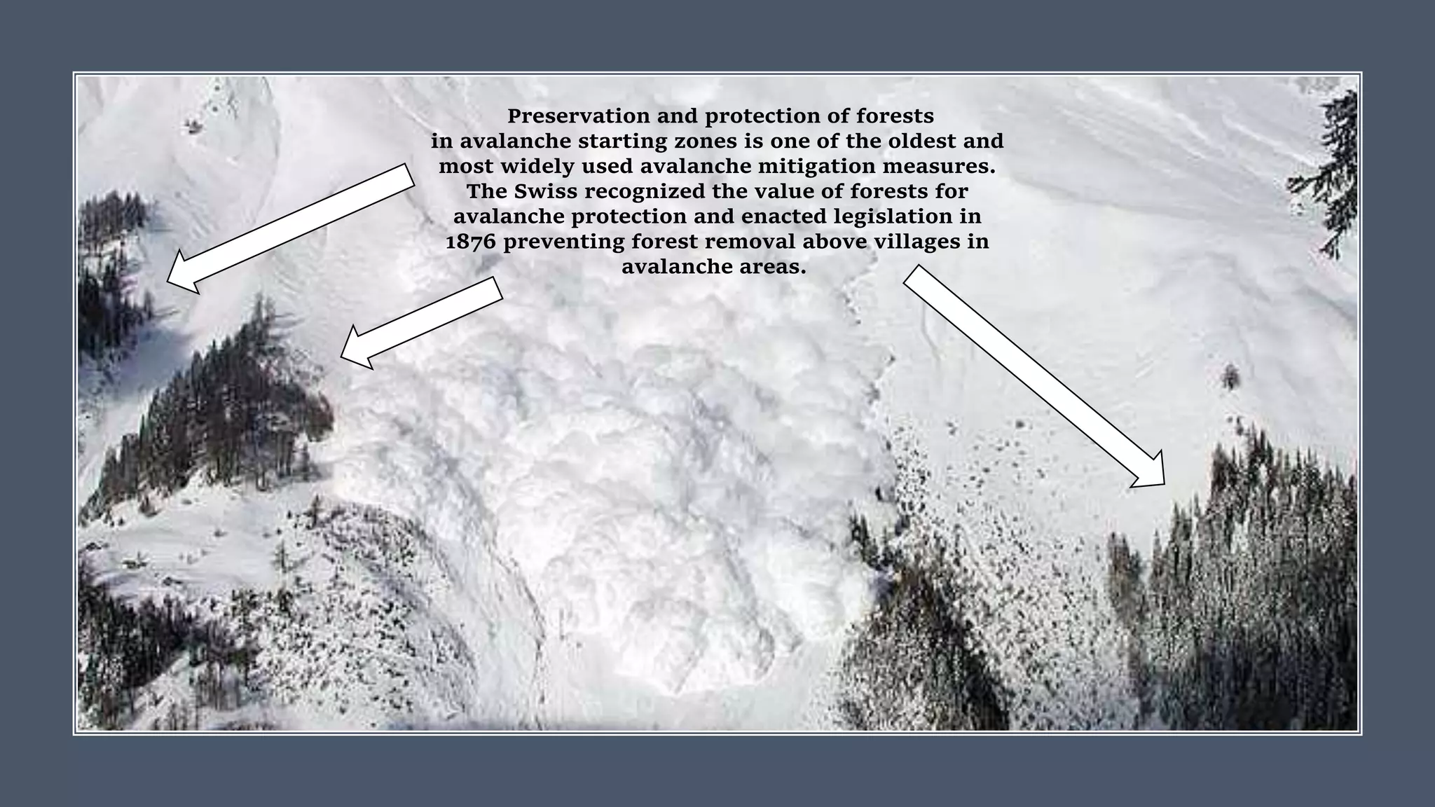 Preservation and protection of forests
in avalanche starting zones is one of the oldest and
most widely used avalanche mitigation measures.
The Swiss recognized the value of forests for
avalanche protection and enacted legislation in
1876 preventing forest removal above villages in
avalanche areas.
 