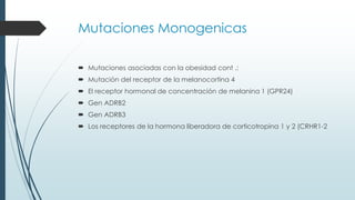 Mutaciones Monogenicas
 Mutaciones asociadas con la obesidad cont .:
 Mutación del receptor de la melanocortina 4
 El receptor hormonal de concentración de melanina 1 (GPR24)
 Gen ADRB2
 Gen ADRB3
 Los receptores de la hormona liberadora de corticotropina 1 y 2 (CRHR1-2
 