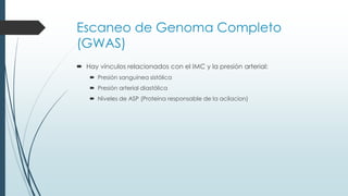 Escaneo de Genoma Completo
(GWAS)
 Hay vínculos relacionados con el IMC y la presión arterial:
 Presión sanguínea sistólica
 Presión arterial diastólica
 Niveles de ASP (Proteina responsable de la acilacion)
 
