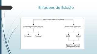 Enfoques de Estudio
 