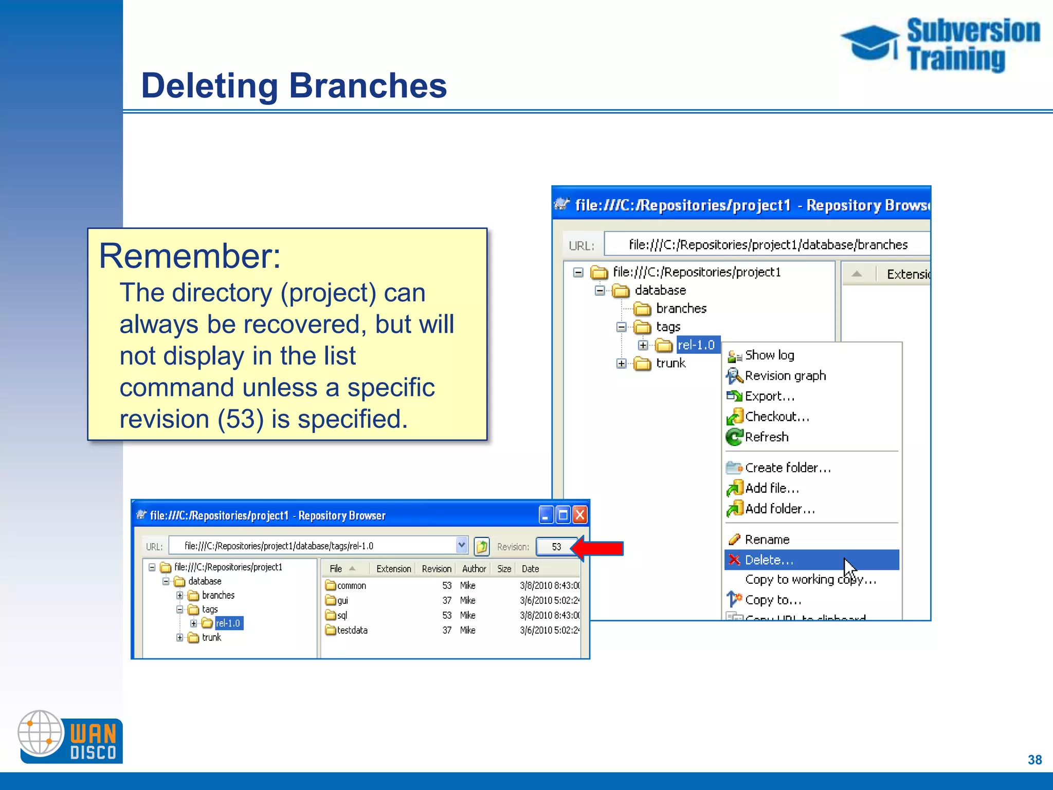 Deleting Branches



Remember:
 The directory (project) can
 always be recovered, but will
 not display in the list
 command unless a specific
 revision (53) is specified.




                                 38
 