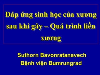 Đáp ứng sinh học của xươngĐáp ứng sinh học của xương
sau khi gãy – Quá trình liềnsau khi gãy – Quá trình liền
xươngxương
Đáp ứng sinh học của xươngĐáp ứng sinh học của xương
sau khi gãy – Quá trình liềnsau khi gãy – Quá trình liền
xươngxương
Suthorn BavonratanavechSuthorn Bavonratanavech
Bệnh viện BumrungradBệnh viện Bumrungrad
 