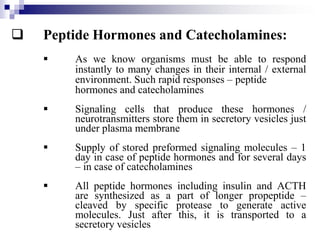  Peptide Hormones and Catecholamines:
 As we know organisms must be able to respond
instantly to many changes in their internal / external
environment. Such rapid responses – peptide
hormones and catecholamines
 Signaling cells that produce these hormones /
neurotransmitters store them in secretory vesicles just
under plasma membrane
 Supply of stored preformed signaling molecules – 1
day in case of peptide hormones and for several days
– in case of catecholamines
 All peptide hormones including insulin and ACTH
are synthesized as a part of longer propeptide –
cleaved by specific protease to generate active
molecules. Just after this, it is transported to a
secretory vesicles
 