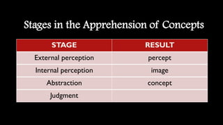 External Perception Graphics Knowledge | PDF