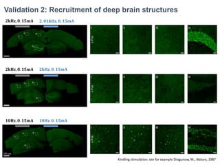 Polanaia R, et al. Studying and Modifying Brain Functions with
Non-invasive Brain Stimulation. Nat. Neurosc. 2018.
Existin...