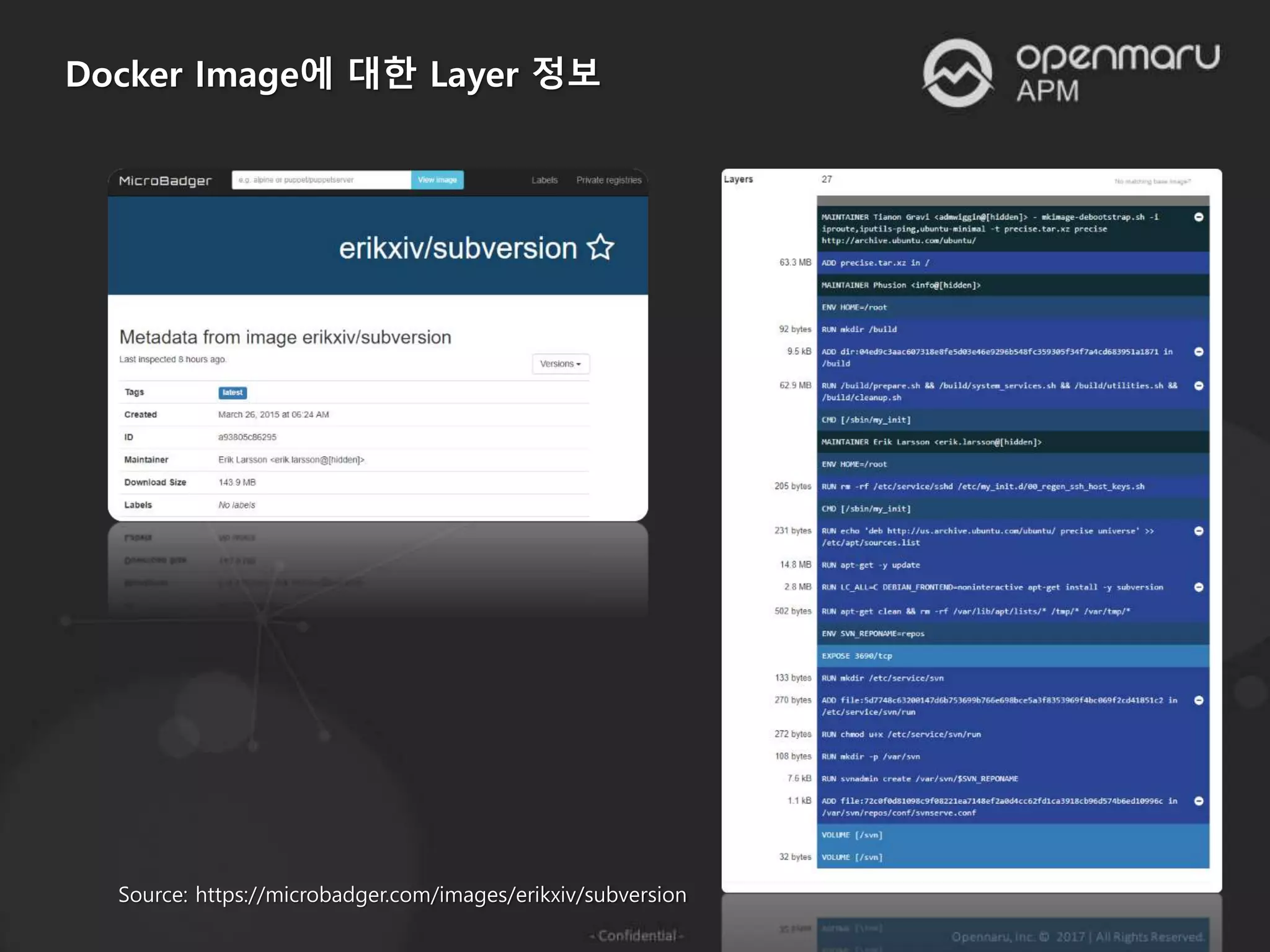 Docker Image에 대한 Layer 정보
Source: https://microbadger.com/images/erikxiv/subversion
 