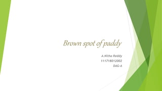 Brown spot of paddy
A.Nitha Reddy
111718012002
DAG-A
 