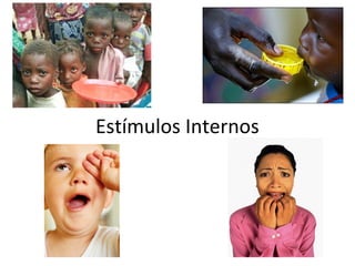 Estímulos Internos

 