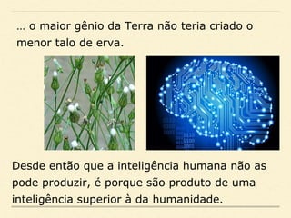 … o maior gênio da Terra não teria criado o
menor talo de erva.
Desde então que a inteligência humana não as
pode produzir, é porque são produto de uma
inteligência superior à da humanidade.
 