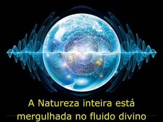 A Natureza inteira está
mergulhada no fluido divino
 