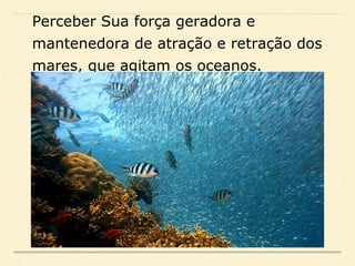 Perceber Sua força geradora e
mantenedora de atração e retração dos
mares, que agitam os oceanos.
 