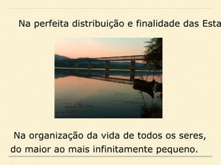 Na perfeita distribuição e finalidade das Esta
Na organização da vida de todos os seres,
do maior ao mais infinitamente pequeno.
 