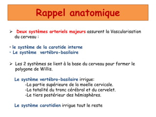 Rappel anatomique
 Deux systèmes arteriels majeurs assurent la Vascularisation
du cerveau :
• le système de la carotide interne
• Le système vertébro-basilaire
 Les 2 systèmes se lient à la base du cerveau pour former le
polygone de Willis.
Le système vertébro-basilaire irrigue:
-La partie supérieure de la moelle cervicale.
-La totalité du tronc cérébral et du cervelet.
-Le tiers postérieur des hémisphères.
Le système carotidien irrigue tout le reste
 