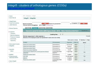 Integr8 - clusters of orthologous genes (COGs)
http://www.ebi.ac.uk/integr8/
 