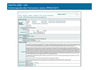 InterPro (EBI - UK)
Antennapedia-like Homeobox (entry IPR001827)
 
