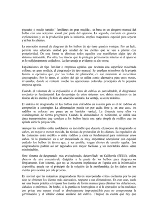 pequeño o medio tamaño -familiares en gran medida-, se basa en un desgarro manual del
bulbo con una selección visual por parte del operario. La segunda, corriente en grandes
explotaciones y en la producción para la industria, emplea maquinaria especial para separar
y cribar los dientes.
La operación manual de desgrane de los bulbos de ajo tiene grandes ventajas. Por un lado,
permite una selección unidad por unidad de los dientes que se van a plantar con
posterioridad. De esta forma se eliminan todos aquellos que manifiesten algún tipo de
síntoma indeseable. Por otro, las túnicas que lo protegen permanecen intactas si el operario
es lo suficientemente cuidadoso. La desventaja es evidente: su alto coste.
Explotaciones de tipo familiar o empresas agrarias que destinan una superficie moderada
utilizan, en gran medida, el desgranado de tipo manual. Se emplean miembros de la propia
familia u operarios que, por las fechas de plantación, en ese momento se encuentran
desocupados. Por lo tanto, el cultivo del ajo se utiliza como alternativa para unos meses,
invernales, donde se reducen mucho las operaciones culturales principales de la pequeña
empresa agraria.
Cuando el volumen de la explotación o el área de cultivo es considerable, el desgranado
mecánico es fundamental. Las desventajas de estos sistemas son: daños mecánicos en las
túnicas de los dientes y la falta de selección sanitaria. La ventaja, su coste mínimo.
El sistema de desgranado de los bulbos más extendido en nuestro país es el de rodillos de
compresión a contragiro. La alimentación puede ser por caída libre y, en este caso, los
rodillos se colocan por pares en un bastidor vertical. La distancia entre ellos va
disminuyendo de forma progresiva. Cuando la alimentación es horizontal, se utiliza una
cinta transportadora que conduce a los bulbos hacia una serie simple de rodillos que los
aplasta sobre la propia cinta.
Aunque los rodillos están acolchados es inevitable que durante el proceso de desgranado se
dañen, en mayor o menor medida, las túnicas de protección de los dientes. La regulación de
las distancias entre rodillos o entre rodillos y cinta es fundamental para minimizar estos
daños. Si la plantación va a ser mecanizada es muy importante seleccionar con especial
cuidado los bulbos de forma que, a ser posible, tengan dientes de tamaño regular. Los
desgranadores podrán así ser regulados con mayor facilidad y los inevitables daños serán
minimizables.
Otro sistema de desgranado más evolucionado, desarrollado en California (EEUU), utiliza
chorros de aire comprimido dirigidos a la punta de los bulbos para desgranarlos
limpiamente. Este sistema, que no se encuentra implantado en España con la información
disponible, puede ser el principio de la solución de la problemática de los daños en los
dientes provocados por este proceso.
En normal que las máquinas desgranadoras lleven incorporadas cribas oscilantes por lo que
sólo se obtienen los dientes más adecuados, respecto a sus dimensiones. En este caso, suele
ser una buena práctica el repasar los dientes de forma manual para eliminar los defectuosos,
dañados o enfermos. De hecho, si la partida es heterogénea o si la operación se ha realizado
con prisas este repaso visual es absolutamente imprescindible para no comprometer la
germinación y el ulterior estado sanitario del cultivo. Téngase en cuenta que hay que
 