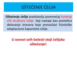 Oštećenje ćelije predstavlja poremećaj funkcije
i/ili strukture ćelije koji nastaje kao posledica
delovanja stresora koje prevazilazi fiziološke
adaptacione kapacitete ćelije.
U osnovi svih bolesti stoji ćelijsko
oštećenje!
OŠTEĆENJE ĆELIJA
 