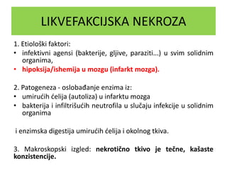 LIKVEFAKCIJSKA NEKROZA
1. Etiološki faktori:
• infektivni agensi (bakterije, gljive, paraziti...) u svim solidnim
organima,
• hipoksija/ishemija u mozgu (infarkt mozga).
2. Patogeneza - oslobađanje enzima iz:
• umirućih ćelija (autoliza) u infarktu mozga
• bakterija i infiltrišućih neutrofila u slučaju infekcije u solidnim
organima
i enzimska digestija umirućih ćelija i okolnog tkiva.
3. Makroskopski izgled: nekrotično tkivo je tečne, kašaste
konzistencije.
 