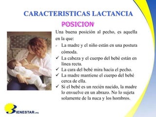 POSICION
Una buena posición al pecho, es aquella
en la que:
 La madre y el niño están en una postura
cómoda.
 La cabeza y el cuerpo del bebé están en
línea recta.
 La cara del bebé mira hacia el pecho.
 La madre mantiene el cuerpo del bebé
cerca de ella.
 Si el bebé es un recién nacido, la madre
lo envuelve en un abrazo. No lo sujeta
solamente de la nuca y los hombros.
 