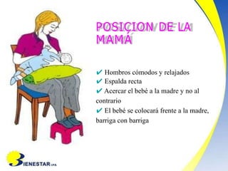 ✔ Hombros cómodos y relajados
✔ Espalda recta
✔ Acercar el bebé a la madre y no al
contrario
✔ El bebé se colocará frente a la madre,
barriga con barriga
POSICION DE LA
MAMÁ
 