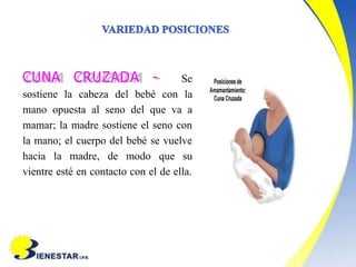 CUNA CRUZADA - Se
sostiene la cabeza del bebé con la
mano opuesta al seno del que va a
mamar; la madre sostiene el seno con
la mano; el cuerpo del bebé se vuelve
hacia la madre, de modo que su
vientre esté en contacto con el de ella.
 