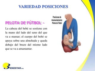 PELOTA DE FÚTBOL -
La cabeza del bebé se sostiene con
la mano del lado del seno del que
va a mamar; el cuerpo del bebé se
apoya sobre una almohada y queda
debajo del brazo del mismo lado
que se va a amamantar.
 