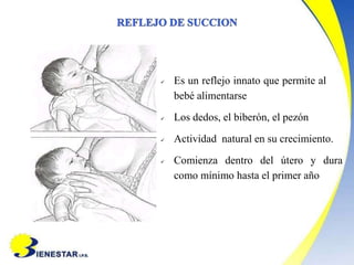  Es un reflejo innato que permite al
bebé alimentarse
 Los dedos, el biberón, el pezón
 Actividad natural en su crecimiento.
 Comienza dentro del útero y dura
como mínimo hasta el primer año
 