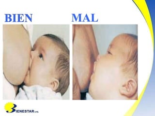 02.-Lactancia-materna.docx