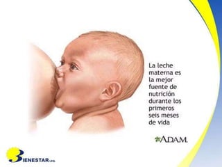 02.-Lactancia-materna.docx