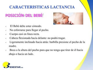 02.-Lactancia-materna.docx