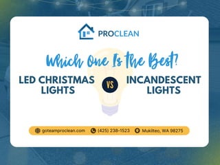 Which One Is the Best?
VS
LED CHRISTMAS
LIGHTS
INCANDESCENT
LIGHTS
goteamproclean.com (425) 238-1523 Mukilteo, WA 98275
 