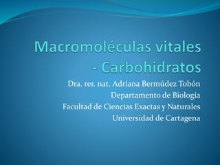 Dra. rer. nat. Adriana Bermúdez Tobón
Departamento de Biología
Facultad de Ciencias Exactas y Naturales
Universidad de Cartagena
 