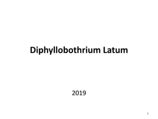 Diphyllobothrium Latum
2019
1
 